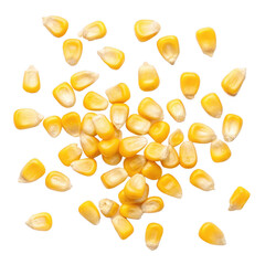 Harvesting Corn: The Journey of Yellow Kernels in Agriculture, Farm, Food Photography, Rural Setting, Close-Up Perspective