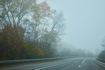 Fototapeta premium The road is in the fog. Atmospheric phenomenon