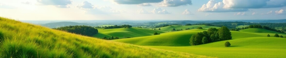 Fototapeta premium Rolling hills and meadows in the Mangfallgebirge region, nature, fields, rolling hills