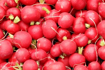 Many fresh radishes as background, top view
