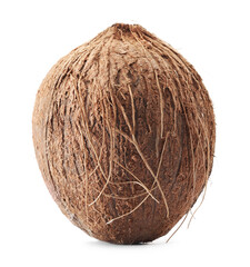 One whole coconut in shell isolated on white