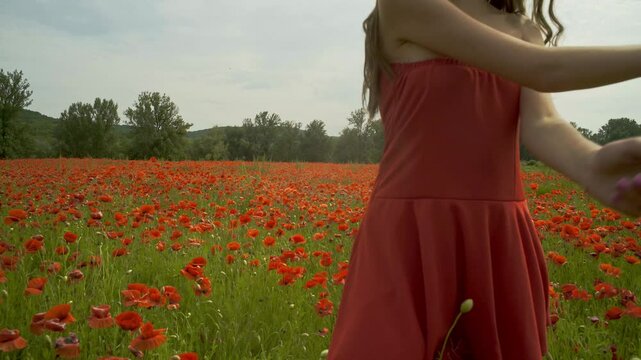 Happy woman in a red dress on spring poppy field. Spring field of blossom poppies. Portrait of romantic spring woman with poppy flower. Spring beauty model on poppy field, springtime. Blossom flowers.