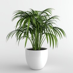 Obraz premium The image of a plant in a pot is available as a PNG file with a transparent background, ideal for invitations, greetings, and wedding cards