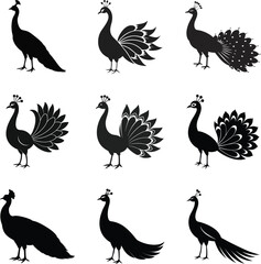 set of black silhouette peacock on white background
