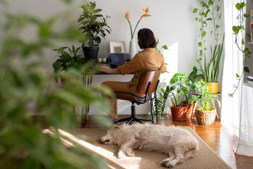 Woman working on a laptop at home in Portugal with a golden retriever and green plants in the living room