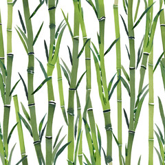 green bamboo background