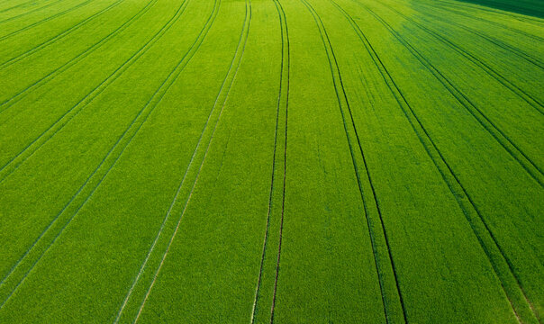 Drone view of a grain field with tire tracks in Innviertel, Upper Austria