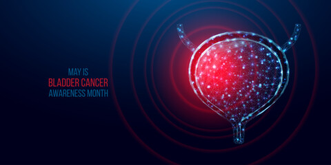 Bladder cancer awareness month. Concept for bladder cancer, cystitis, human excretory system. Wireframe low poly style. Abstract vector illustration on dark blue background.