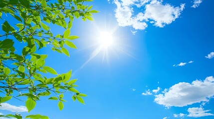 Obraz premium Bright Sunny Day with Lush Green Leaves and Blue Sky