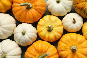 Beautiful autumn composition with pumpkins background, top view