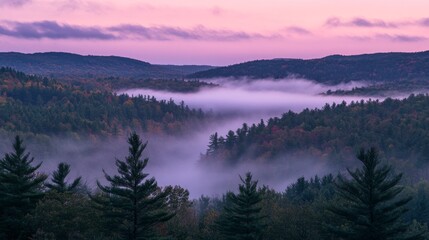 Fototapeta premium Misty Mountain Valley at Sunrise