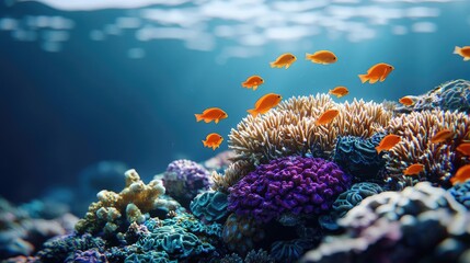 Obraz premium Ocean acidification concept. Vibrant coral reef underwater teeming with colorful fish in clear blue water.