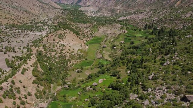Aerial view capturing Upal Valley's cultivated fields, scattered trees, and the majestic Nanga Parbat peaks, reflecting the region's serene agricultural beauty