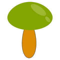 The Beauty of Dark Green Mushroom