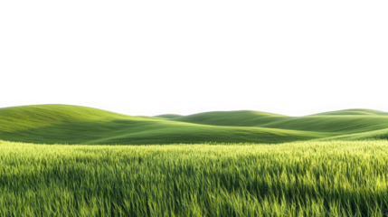 a serene landscape of rolling green hills. covered in lush grass under a bright sky. evoking a sense of tranquility and natural beauty it is ideal for themes related to nature. relaxation. and environ