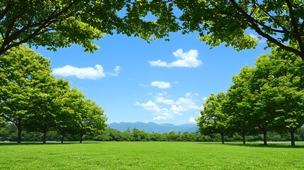 Fototapeta premium Lush Green Trees Frame a Sunny Summer Park Landscape