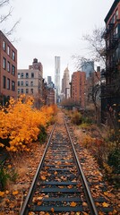 Fototapeta premium Autumnal NYC Train Tracks