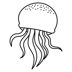 Jellyfish black and white drawing. Graceful marine creature illustration suitable for nature themed designs, educational materials, and coloring book for kids