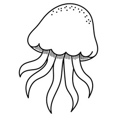 Fototapeta premium Jellyfish black and white drawing. Graceful marine creature illustration suitable for nature themed designs, educational materials, and coloring book for kids