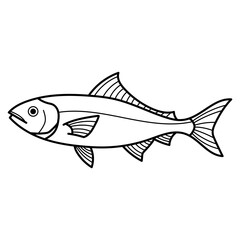 Mackerel black and white line drawing suitable for coloring book, fish packaging design, or marine life educational materials