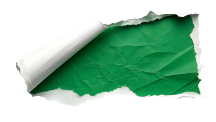 vibrant green piece of paper with rough, torn edges, creating a striking contrast against isolated transparent background 