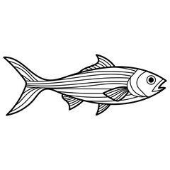 Title Tuna fish black and white line drawing suitable for seafood restaurant menus, packaging design, educational materials and coloring book