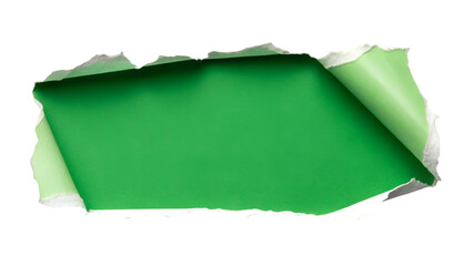 vibrant green piece of paper with rough, torn edges, creating a striking contrast against isolated transparent background 