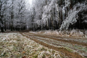 Winter inversion in the foothills, Czech Republic
