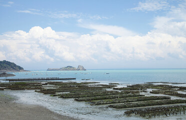 French Oyster Farm in Cancale, France