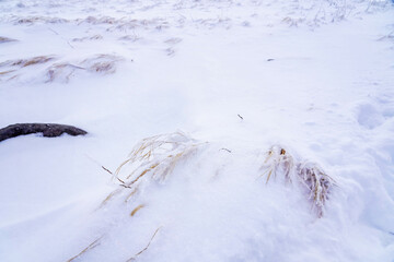 幻想的な雪景色と静寂な冬の自然
