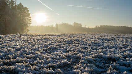 Winter inversion in the foothills, Czech Republic
