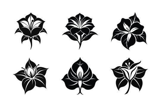 Copihue (Lapageria rosea) silhouette vector illustration