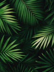 Lush tropical palm leaves, vivid green foliage in a calming, natural composition