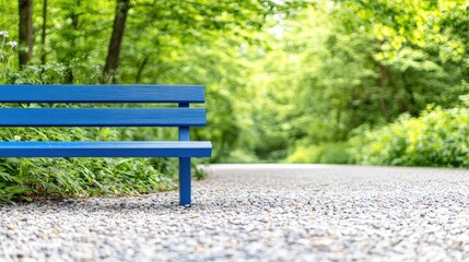 Fototapeta premium Blue bench park path tranquil nature relaxation