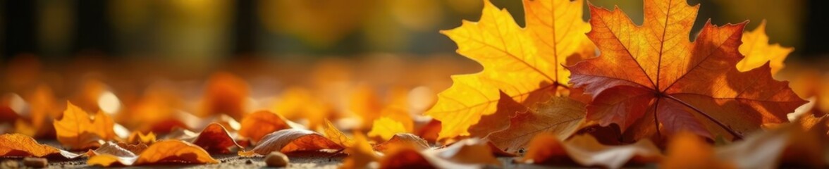 A bundle of fallen oak leaves with golden hues, autumn leaves nature photography, natural scenery