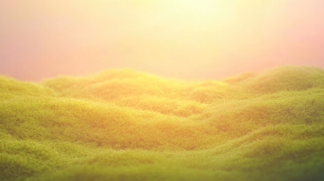 Soft, undulating hills bathed in warm, golden light create seren