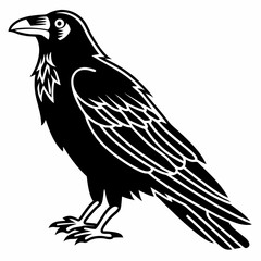 eagle on a white background
