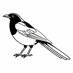 crow on a branch
