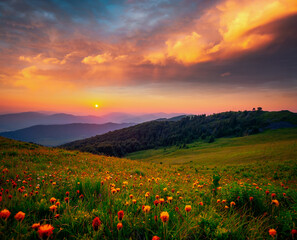 Fototapeta premium The sun sets behind the mountain ranges. Carpathian mountains, Ukraine, Europe.