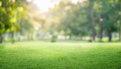 Fototapeta premium blur natural and light background in the park