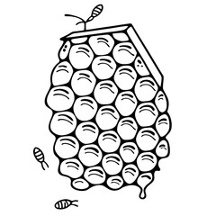 Fototapeta premium beehive