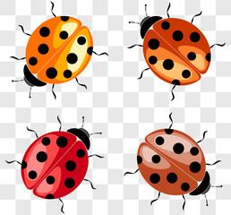 Colorful vector illustration of ladybugs in various colors and patterns on a transparent background