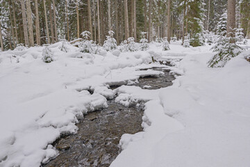 stream in the winter