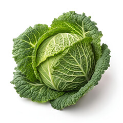 Obraz premium cabbage isolated on white background