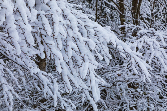 After the snowfall at Lago di Cave