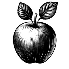 whole apple with a leaf, showcasing vintage botanical art style engraving generative ai sketch PNG illustration