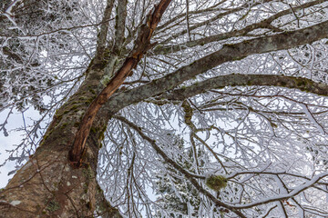 After the snowfall at Lago di Cave