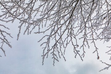 After the snowfall at Lago di Cave