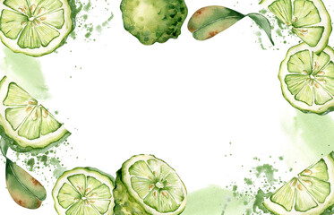 Border of Juicy limes on watercolor splash isolated on white. Border of bergamot halves and lime fruits hand drawn. Citrus fruits on juice drops painted in botanical sketch for invitation.