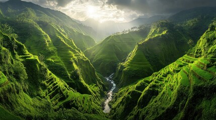 Lush green terraced rice fields cascade down a valley under dramatic sunlight and clouds